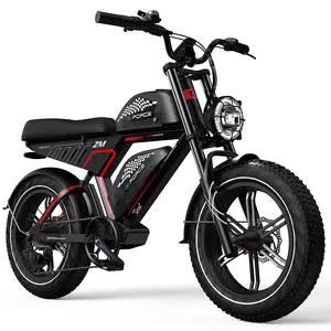 듀얼 리튬 배터리 전기 자전거 48V 40Ah 750W 브러시리스 기어드 모터 전기 자전거