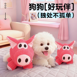 Jouets en peluche et en papier qui couinent pour chiots, jouets de dentition, durables et amusants pour les Bichons, les Corgis et les chiens Teddy. - Product Image 5