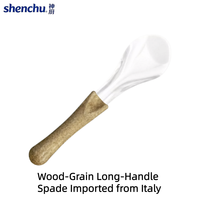 Cuillère à glace transparente à long manche en acier inoxydable de qualité médicale, accessoire commercial pour crème glacée importé de Chine