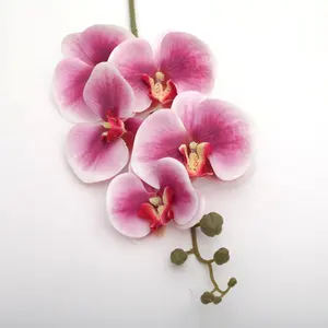 Natural Touch Phalaenopsis Factory Direct Sale New Product 5 Heads of Pink Tape Phalaenopsis with High Quality