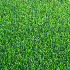 Alfombra de césped artificial de PP de alta calidad de 25mm de 10mm para jardines de patio trasero de 60mm para <span class=keywords><strong>bodas</strong></span>, césped sintético verde - Product Image 5