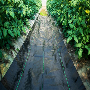 Toile de paillage noire premium robuste pour jardin et aménagement paysager - Product Image 1