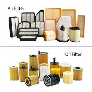 P700000261 Heavy Duty Truck Spare Parts Oil Filter P700000261 A700000017