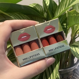 Regalo de Navidad 3 uds Mini Kit de lápiz labial Etiqueta Privada tapa dorada impermeable Venta caliente conjunto de lápiz labial para labios - Product Image 4