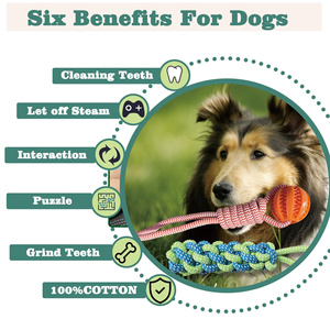 HIPHOPPET Factory BSCI Bungee Hanging Dog Toy with Interactive <b>Rope</b> Tug-of-War Chew Jumping Training for Indoor Outdoor Play - Product Image 3