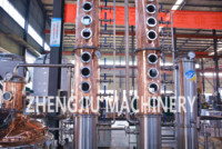 ZJ 300L cuivre Vodka encore colonne usine vente directe canne à sucre distillateur d'alcool pour boisson éthanol Production faire la Machine