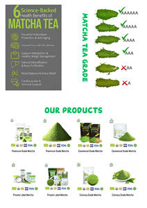 Jiueco Wholesale Food Grade Green Tea Extract Matcha Powder 99% Bulk <b>for</b> <b>Smoothies</b> & Baking - Product Image 4