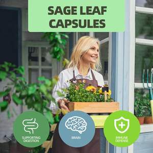 Verde foglia di salvia capsule produttore supportato integratore a base di erbe per adulti digestione cervello difesa immunitaria antiossidante bambini - Product Image 6
