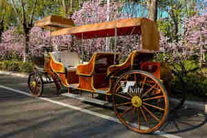 Chariot de jardin électrique pour enfants, chariot de chevaux romantique en forme de citrouille, calèche de mariage à vendre - Product Image 5