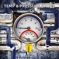 High Quality BECO YW60A Floor Heating Thermostat Temperature Pressure Gauge Thermomanometer 10bar/120 Range Black Steel Brass