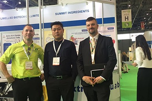 Toptan zencefil kökü özü tozu 5% Gingerols zencefil tozu - Product Image 4