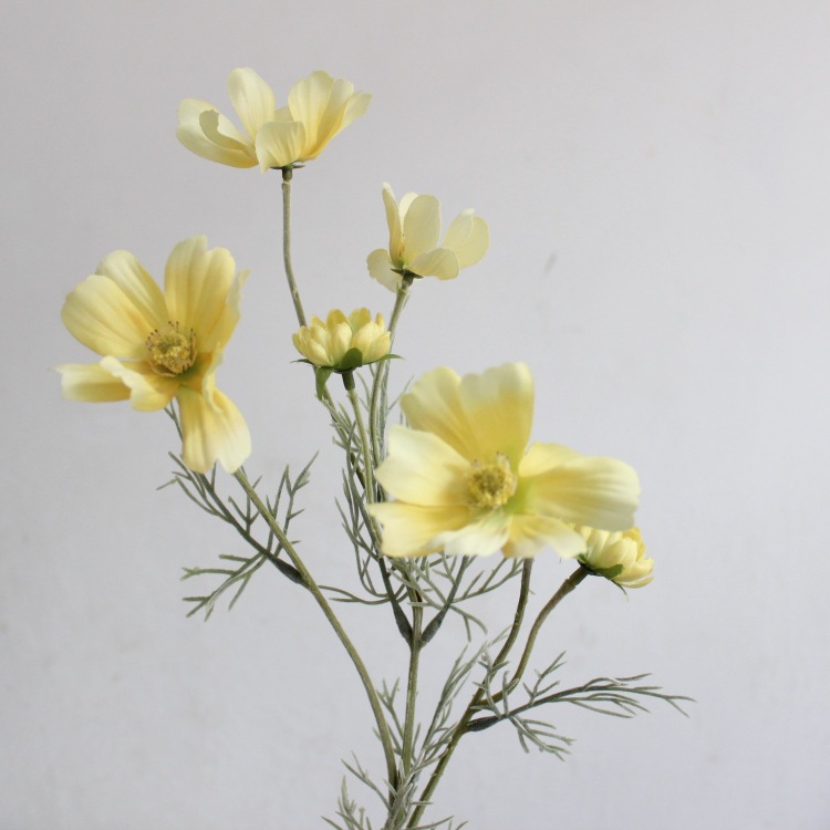 Jaune-vert
