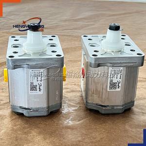 <span class=keywords><strong>Pompe</strong></span> hydraulique SAUER <span class=keywords><strong>DANFOSS</strong></span> 111.20.280.00 SNP2NN/011RN01BAP1F4F4 111.20.284.00 SNP2NN/017RN01BAP1F5F4 <span class=keywords><strong>Pompe</strong></span> à huile <span class=keywords><strong>Pompe</strong></span> à engrenages pour - Product Image 4