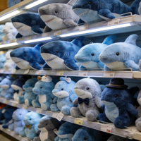 Peluches Requin 25 cm Très Demandées, Animaux en Peluche Personnalisés de 8 Pouces, Jouets Mignons en Peluche pour Enfants