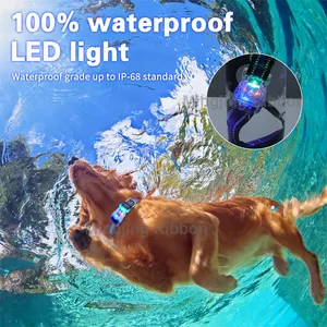 Özel lüks tasarımcı USB şarj edilebilir LED lamba ışık güvenliği hızlı bırakma ayarlanabilir Polyester yansıtıcı dokuma Pet köpek tasması