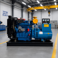 Générateur diesel HOYU 50Hz Alternateur sans balais à châssis ouvert 50 kW 400/230V