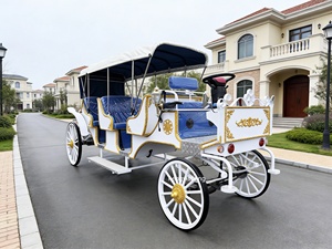 Chariot de Mariage Classique de Haute Qualité, Modèle Cendrillon, pour Visites Touristiques, 4 Roues, Offre Spéciale, Transport à Prix Réduit - Product Image 2