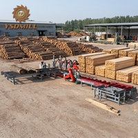 Linea di Segheria a Nastro Verticale Automatica per Lavorazione del Legno con Carrello per Tronchi e Doppia Lama Circolare con Motore
