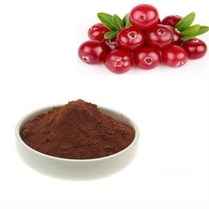 Polvo de Arándano, Polvo de Frutas y Vegetales, Polvo de Jugo Diluido, Materias Primas, Bebida Sólida, Extracto de Frambuesa - Product Image 1