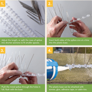 Pointes <span class=keywords><strong>anti</strong></span>-<span class=keywords><strong>pigeon</strong></span> Bandes <span class=keywords><strong>anti</strong></span>-<span class=keywords><strong>pigeon</strong></span> Bandes de pigeons Pointes <span class=keywords><strong>anti</strong></span>-oiseau Mouette - Product Image 2