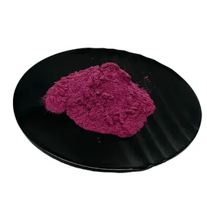 Hot sell Fresh Fuir Powder With Top Quality Acai Berry Juice Powder Best Taste For Beverage And Cake