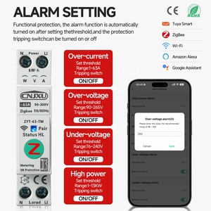 Interruttore Automatico 63A 1P Tuya Zigbee Wifi con Misuratore di Energia, Monitoraggio Kwh, Timer, Relè e Protezione Tensione/Ampere - Product Image 6