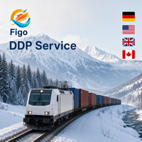 DDP par train vers l'Europe, Allemagne, Royaume-Uni, transitaire rapide, livraison porte-à-porte, service logistique ferroviaire, agent maritime