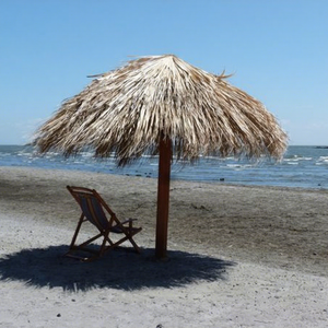 Palm Leaf/Coconut <b>Umbrellas</b> for Outdoor <b>Beach</b> Use-VIET DELTA HANDICRAFT Ms. Nicky Advertising/Gift <b>Umbrella</b> - Product Image 1