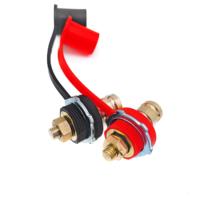 Poteau de chargeur de batterie de type long 250A Lot de 2 matériaux en laiton avec goujons rouges et noirs Borne à vis Application automobile