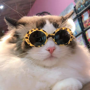 Lentes de Sol para Mascotas, Gafas de Sol para Perros y Gatos, Gafas de Cosplay para Cachorros y Gatitos - Product Image 3