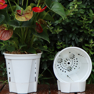 Rõ ràng màu vườn phong lan nồi rõ ràng màu nhựa ươm chậu cho vườn và nông nghiệp thực vật - Product Image 2