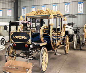 2026 Calèche royale à chevaux pour mariages et visites touristiques, Calèches à chevaux électriques et Chariots électriques à vendre - Product Image 5