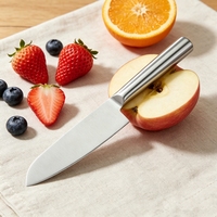 Ensemble de couteaux de chef Santoku de qualité supérieure, manche personnalisé, motif écologique, acier inoxydable, outil de cuisine haut de gamme