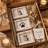 Cadre souvenir pour animaux de compagnie avec empreinte de patte et photo de chat