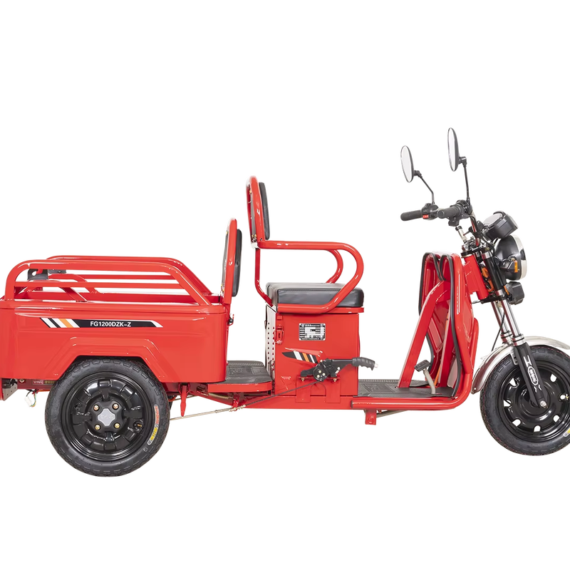 FGQ Family Electric Elderly Tricycles Three