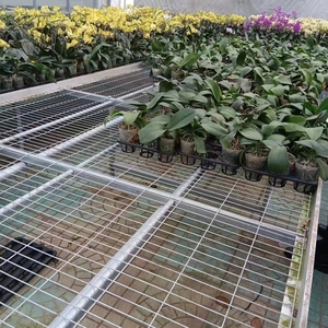 Grande serre pour <span class=keywords><strong>semis</strong></span>, table mobile à roulettes en acier galvanisé, équipement agricole pour <span class=keywords><strong>semis</strong></span> - Product Image 3