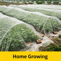 Filet anti-insectes en HDPE pour horticulture, jardin, protection des légumes, fruits, serre, protection des plantes, filet anti-insectes