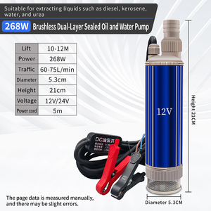 Moteur CC sans balais haute puissance <span class=keywords><strong>Pompe</strong></span> à <span class=keywords><strong>huile</strong></span> basse pression 12V/24V <span class=keywords><strong>Pompe</strong></span> de ravitaillement en carburant montée sur véhicule <span class=keywords><strong>Pompe</strong></span> submersible 75L/min - Product Image 5