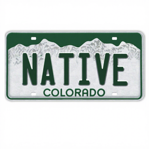 Venta al por mayor de la fábrica del Euro en relieve de aluminio bicicleta número de placas en blanco foto de diseño - Product Image 1