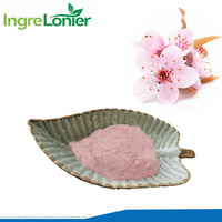 Marque privée Poudre de fleur de cerisier Superfood naturelle Poudre de Sakura pour boisson alimentaire