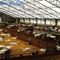 Hangars à chèvres surélevés à structure métallique préfabriquée à construction rapide pour abris pour moutons à vendre