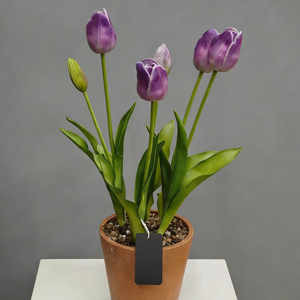 Fleur de tulipe artificielle de style coréen, pot en plastique, décoration extérieure et intérieure, accessoire de photographie, best-seller - Product Image 4