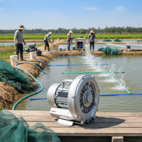 Souffleur d'air robuste anti-corrosion à anneau, haute capacité, pour l'aération en aquaculture