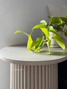OEM Professional Modern Simple Handmade Wooden Pedestal <b>Plinth</b> Stand Solid <b>Wood</b> Display Stand for Event Wedding Decoration - Product Image 5