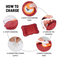 Bouillotte Électrique Rechargeable Chauffe-Mains, Idéale pour les Douleurs Menstruelles
