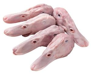Cabeza de Pato Congelada BQF Premium, Grado A, Venta al Por Mayor, 24 Meses de Vida Útil, Para Hoteles, Restaurantes, Catering, Importadores Globales - Product Image 3