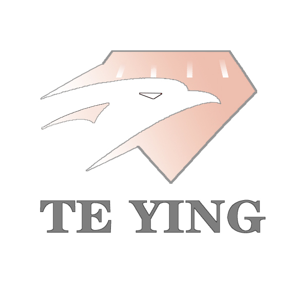 Yiwu Teying Technology Co., Ltd. logo