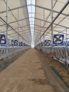 Granja vaca casa acero tubería oveja cabra vaca cabeza bloqueo caliente galvanizado ganado alimentador Fácil instalación - Product Image 5