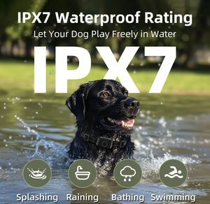 पोर्टेबल फैशन आउटडोर ipx7 वाटरप्रूफ जीपीएस कुत्ते बाड़ प्रणाली रिचार्जेबल इलेक्ट्रिक शॉक कंपन प्रशिक्षण कॉलर वायरलेस कुत्ते - Product Image 6