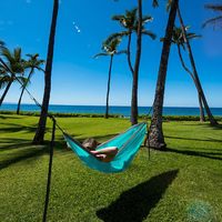Hamac de camping, hamac portable double et simple avec sangles d'arbre, hamacs parachutes légers en nylon